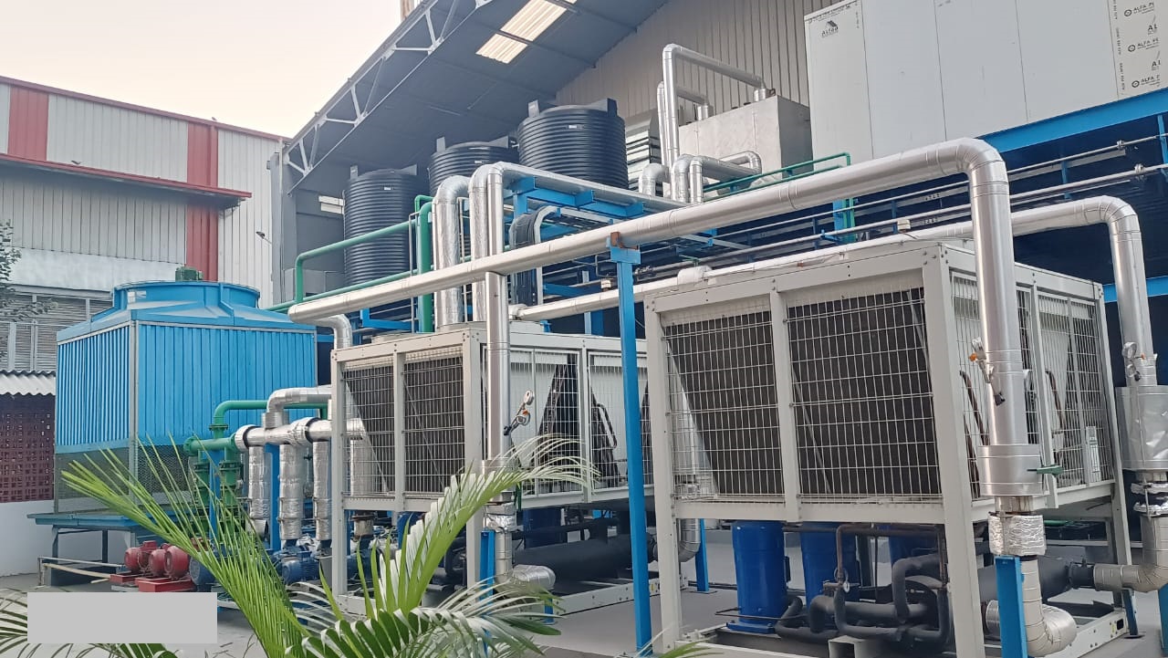 WhatsApp Image 2024-02-05 at 6.22.31 PM