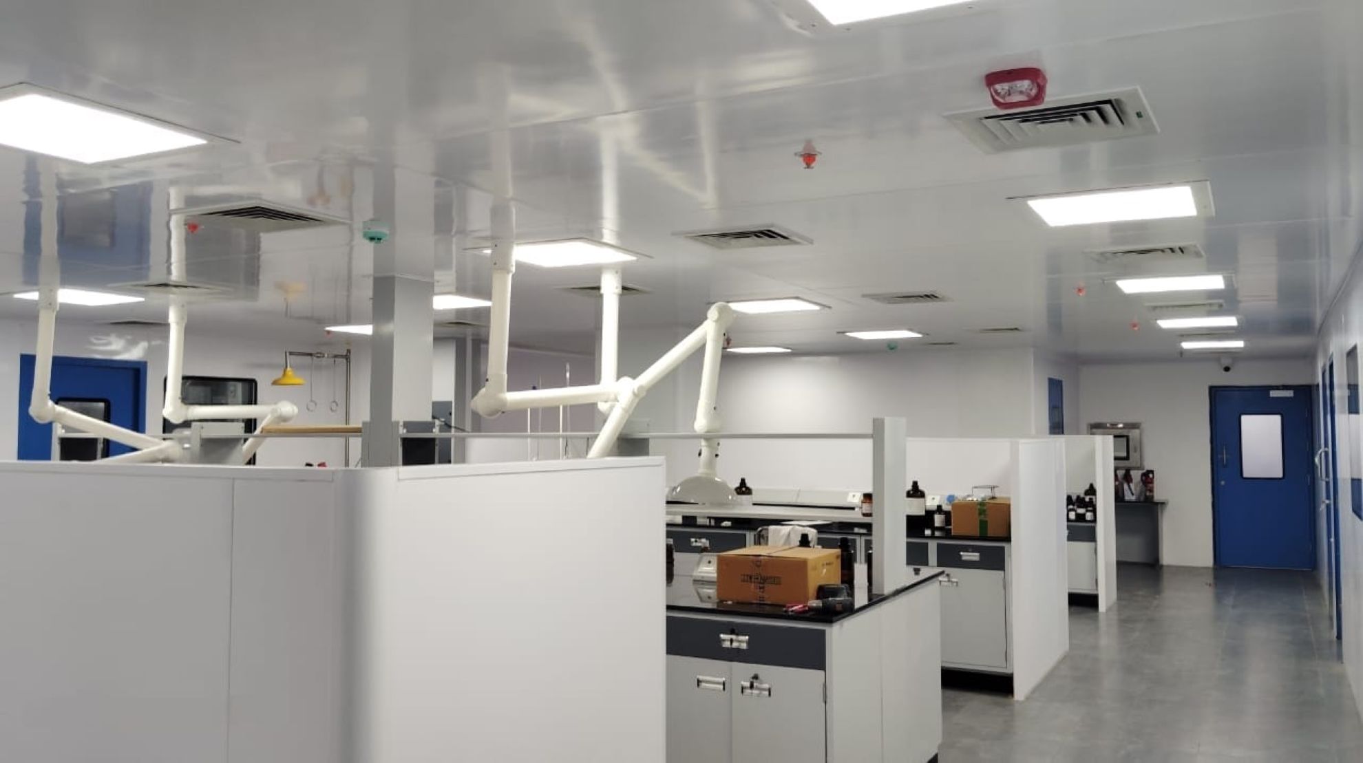 WhatsApp Image 2025-12-11 at 3.37.45 PM